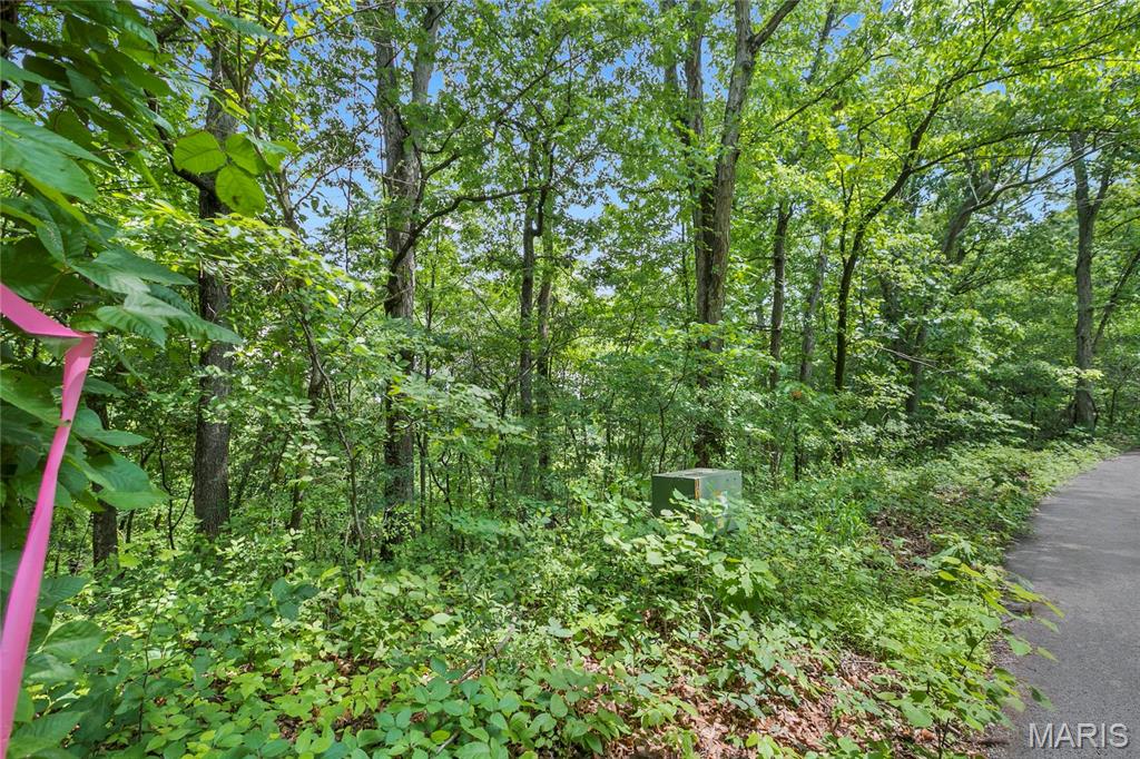Photo of 8.5 acres Clermont Drive Festus MO 63028
