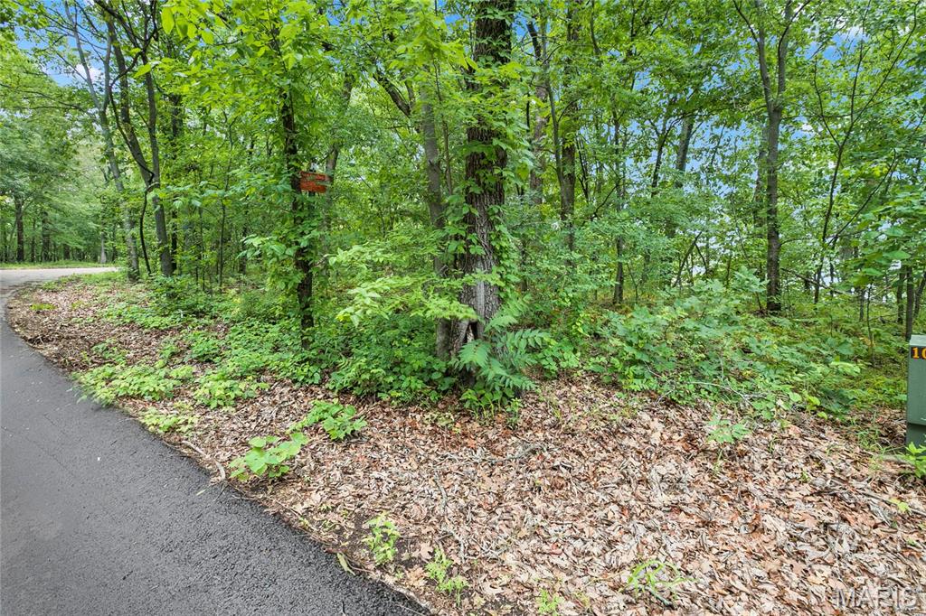 Photo of 9.41 acres Clermont Drive Festus MO 63028
