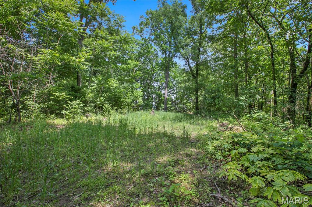 Photo of 8.75 acres Mississippi Queen Court Festus MO 63028