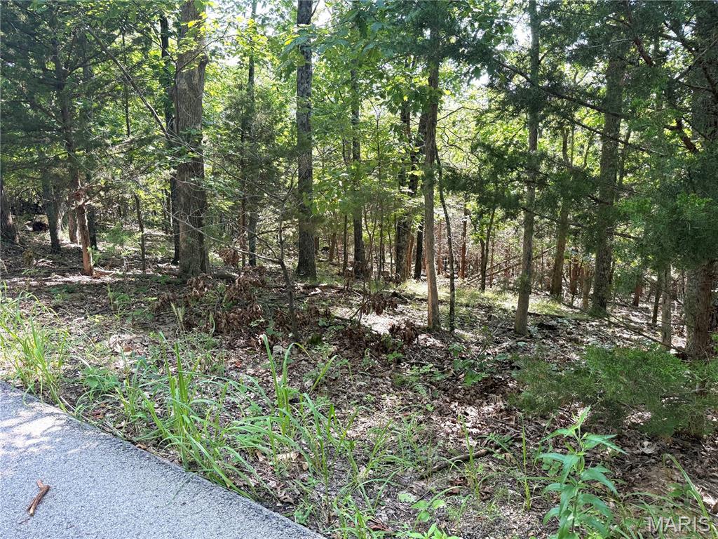 Photo of 4567 Thunder Ridge Road Wildwood MO 63025
