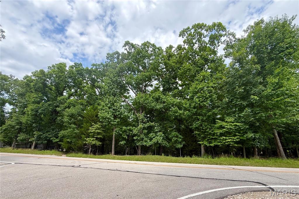Photo of TBD Cornett Branch Road Four Seasons MO 65049