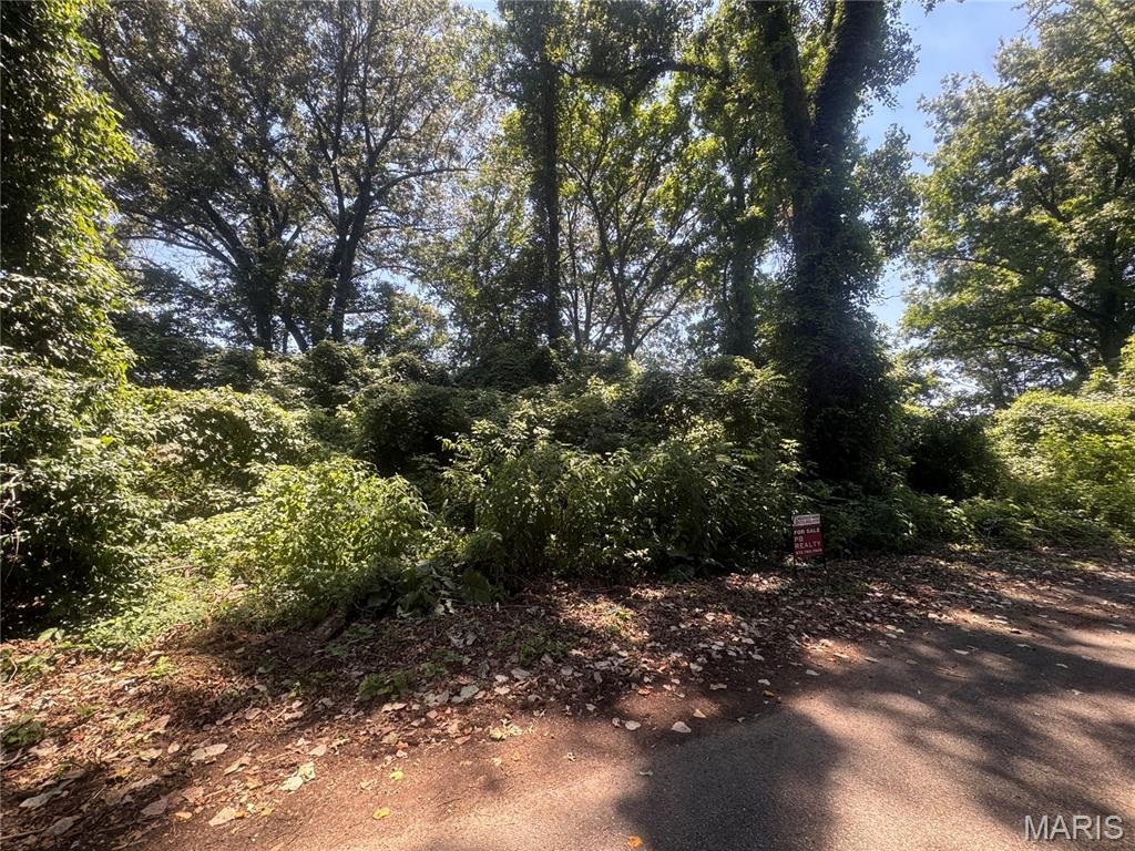 Photo of Lots 10,11 S Side International Poplar Bluff MO 63901