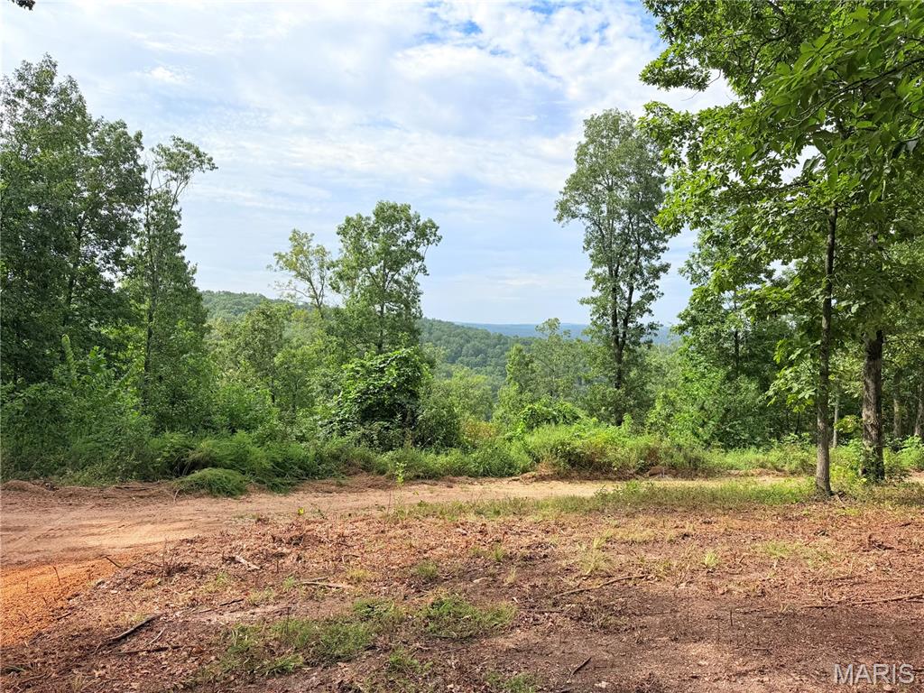 Photo of CR 453 Lots 393,394,395,396 & 729,730,731 Piedmont MO 63957