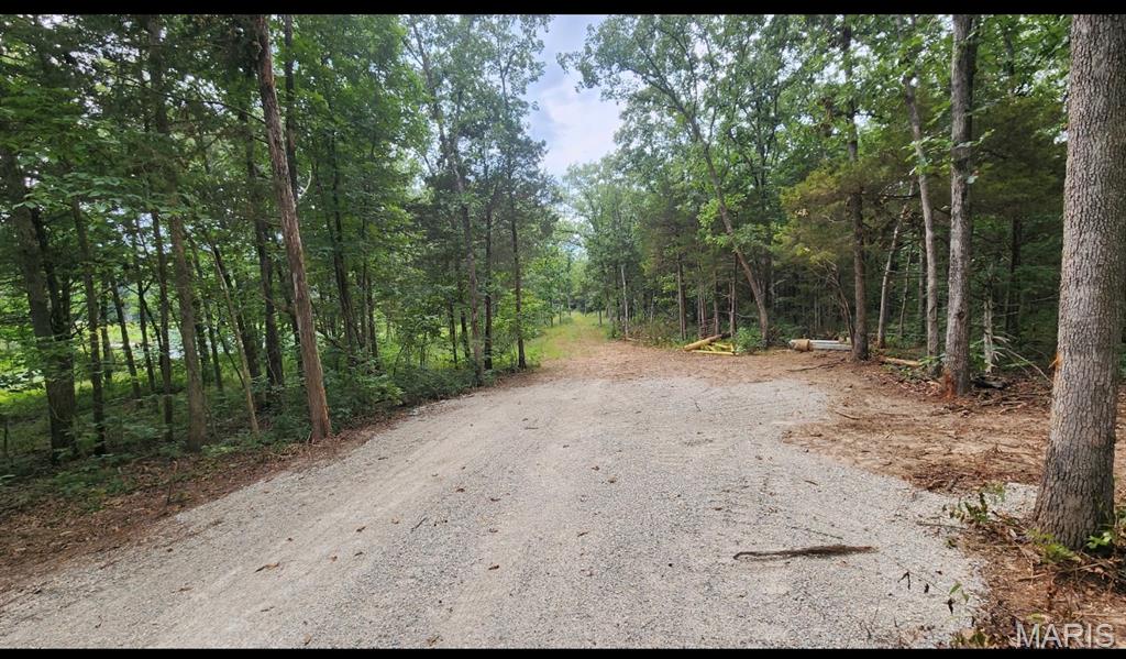 Photo of 0 Dodson De Soto MO 63020