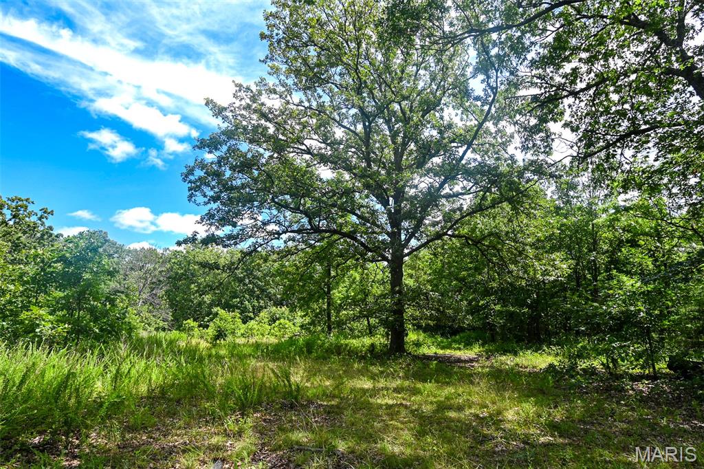 Photo of 5760 NE 817 Private Road Osceola MO 64776