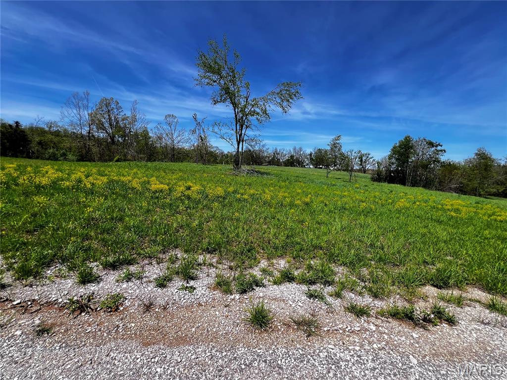 Photo of 1009 Legacy Lane Perryville MO 63775