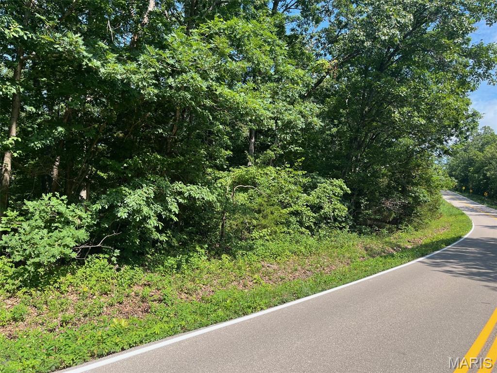 Photo of 0 Hwy F Road Potosi MO 63664