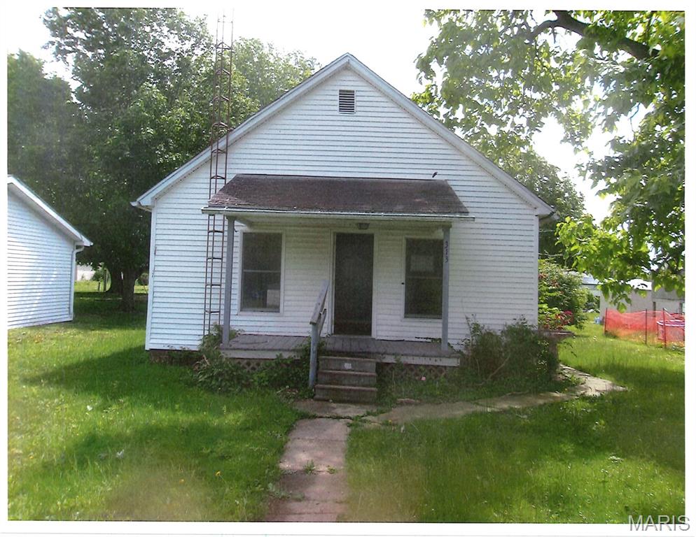 Photo of 313 N 1st Street Witt IL 62094