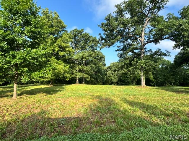 Photo of 61 Saratoga Springs Drive Silex MO 63377