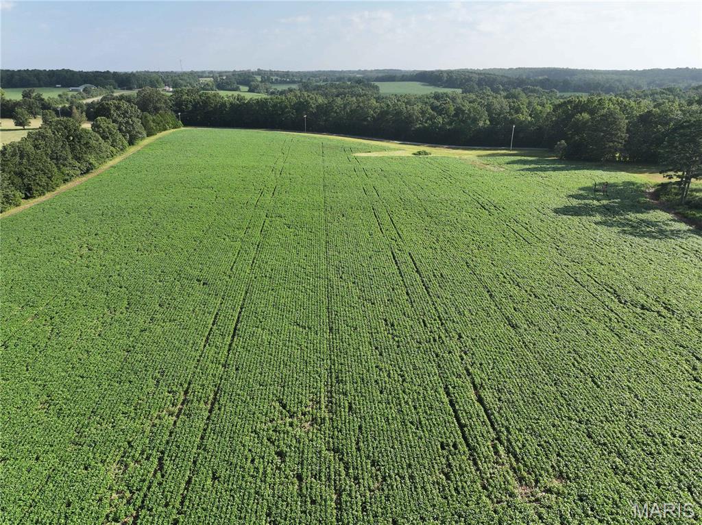 Photo of 29259 State Highway O Marquand MO 63655