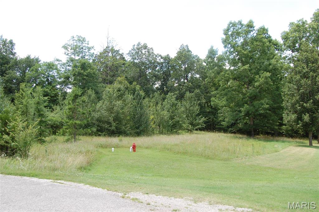Photo of Lot 3 Greenbriar Drive Poplar Bluff MO 63901