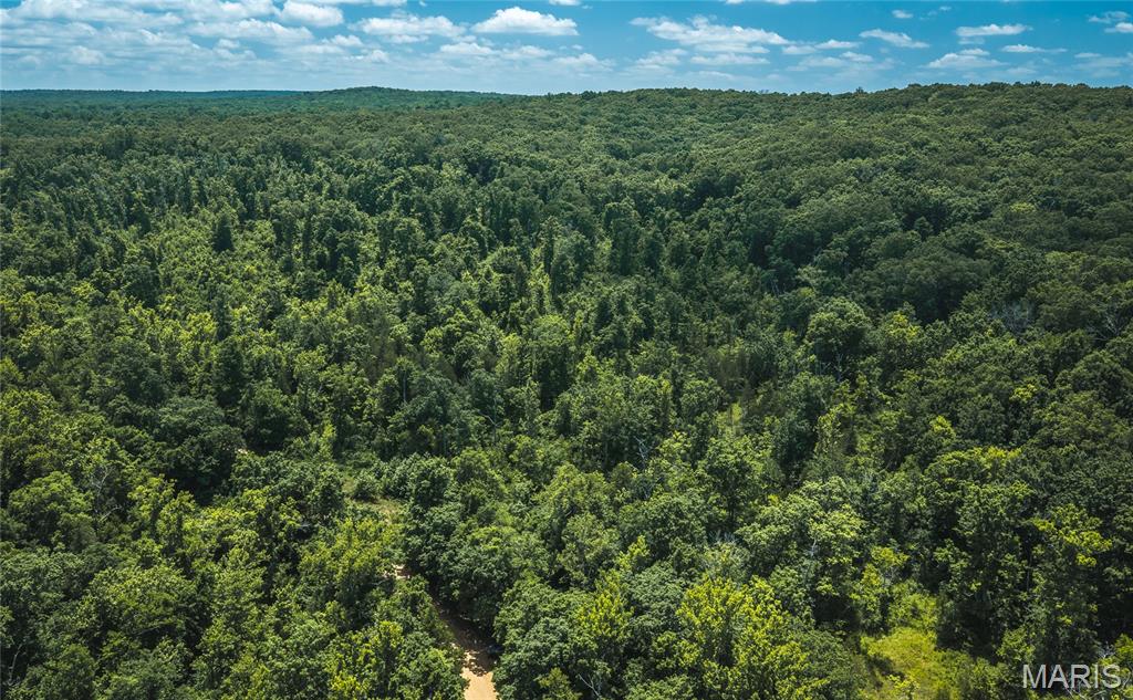 Photo of 000 Czar Tower Road Steelville MO 65565