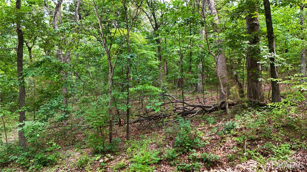 Photo of 9576 Bent Tree Drive Hillsboro MO 63050