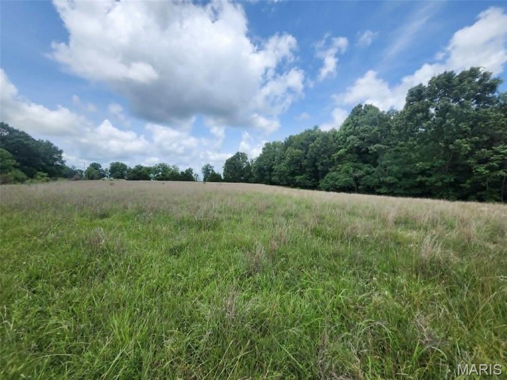 Photo of 0 M- Blackberry Drive Summersville MO 65571