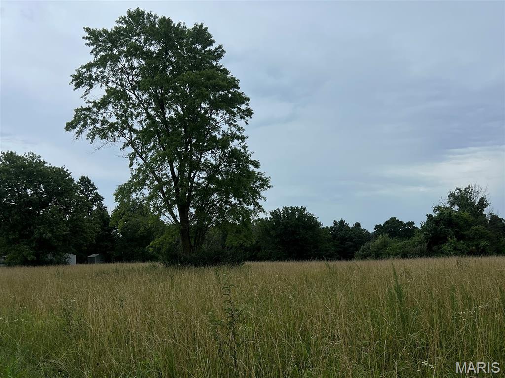 Photo of 0 Blue Bird Hill Lane (6 +/- Acres) Foley MO 63347
