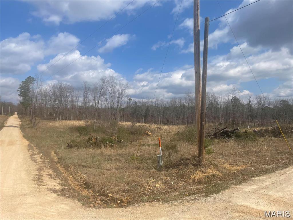 Photo of 0 Highway 21 & CR 229 S Ellsinore MO 63937