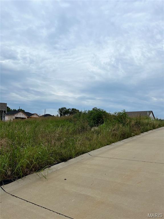Photo of 531 Steeplechase Road Jackson MO 63703