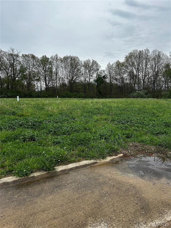 Photo of 150 Starlight Drive Belleville IL 62226