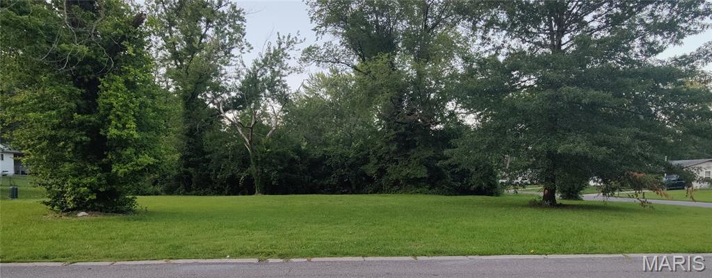 Photo of 1431 Columbus Drive St Louis MO 63138