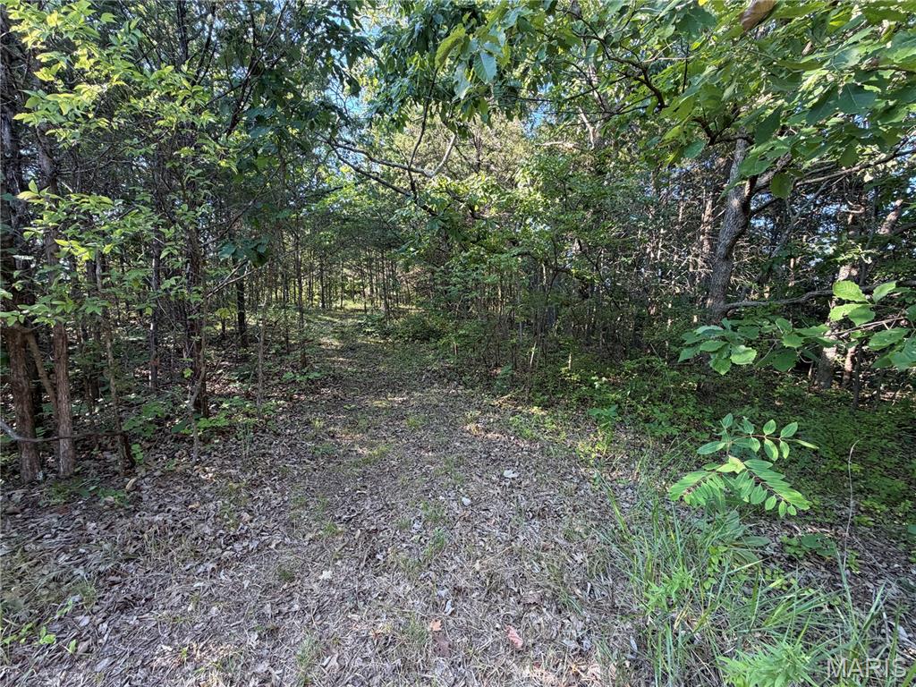 Photo of 0 N Lake Drive Hillsboro MO 63050
