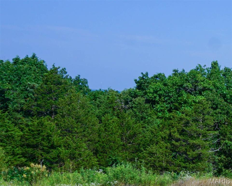 Photo of 43.21 m/l Ac State Route O Rolla MO 65401