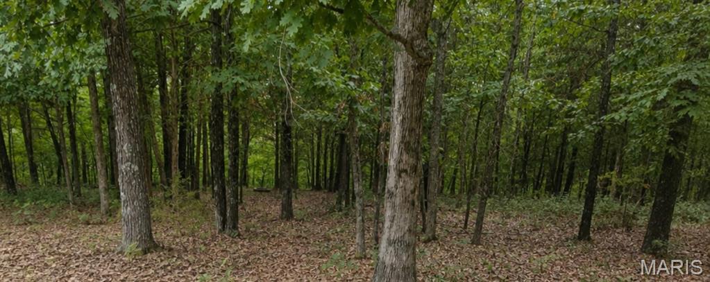 Photo of 2346 W Squire Road Marthasville MO 63357