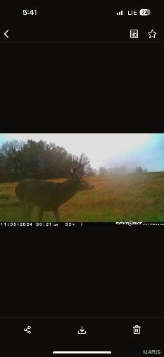 Photo of 00 Robin Road Bellflower MO 63333