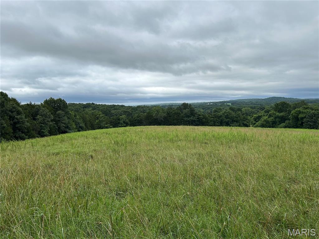Photo of 0 Allen Road Hillsboro MO 63050