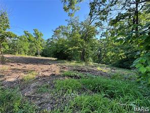 Photo of 14690 Conway Road Dixon MO 65459
