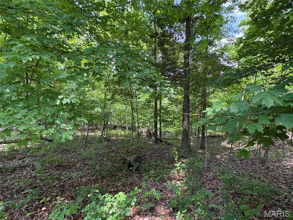 Photo of 5046 Port Perry Drive Perryville MO 63775