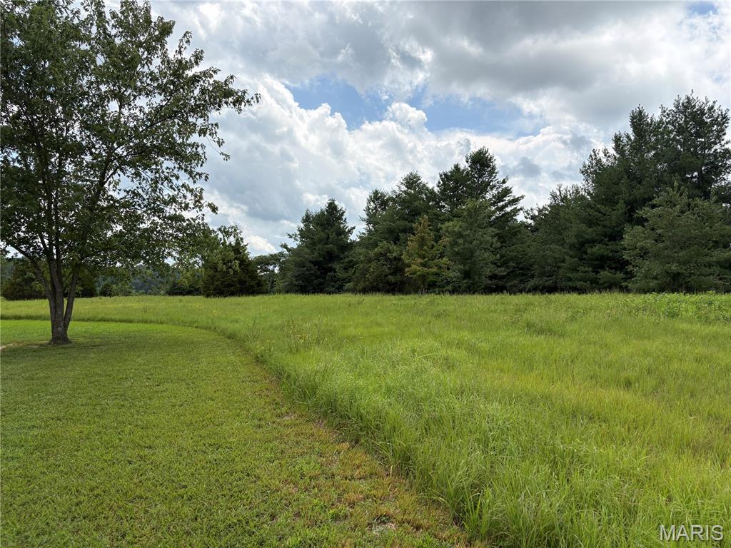 Photo of 0 Whispering Pines Lane Perryville MO 63775