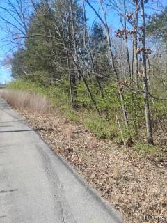Photo of 0 Easy Street De Soto MO 63020