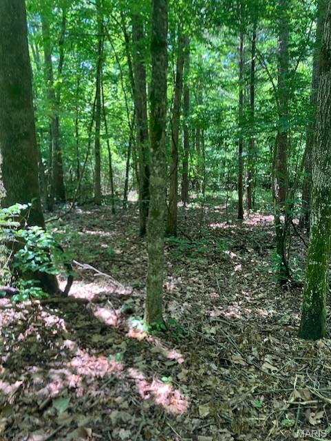 Photo of 260 Madison CR 410 Fredericktown MO 63645