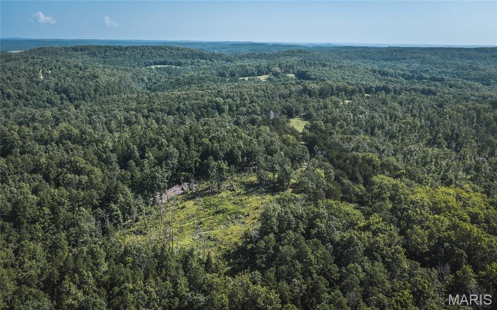 Photo of 25598 County Road C-228 Norwood MO 65717
