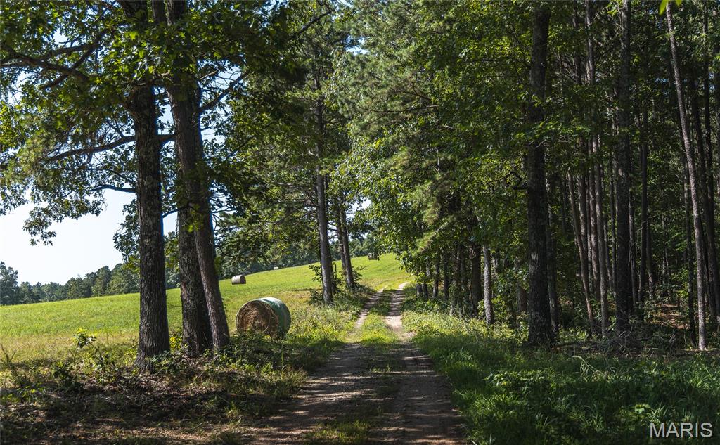 Photo of Tract 4 Private Drive 2336 Norwood MO 65717