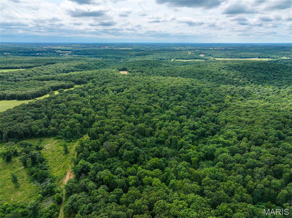 Photo of 0000 SE 1151 Road Collins MO 64738
