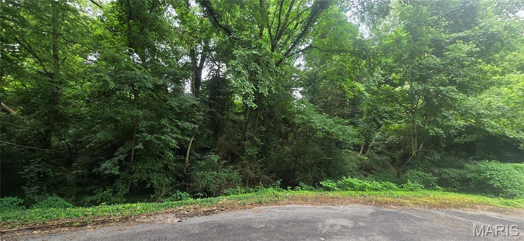 Photo of 0 Birch Drive Belleville IL 62223