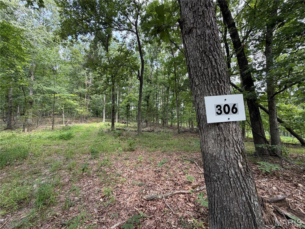 Photo of #306 Madison 410 Fredericktown MO 63645