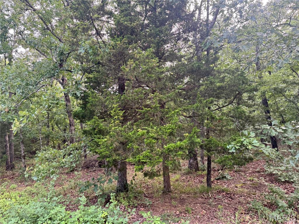 Photo of 645 Pond Run Road Gerald MO 63037