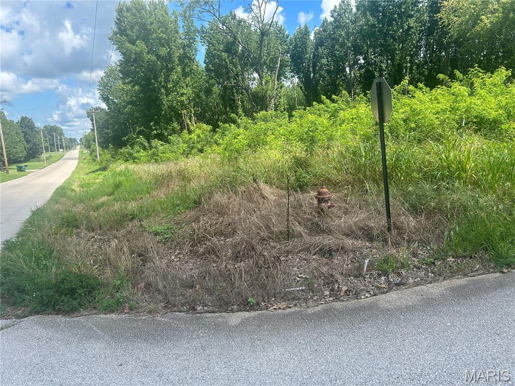 Photo of 0 TAMARAK Lane Dexter MO 63841