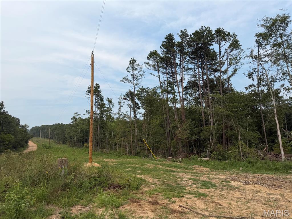 Photo of Tract 5 BCR 702 Glen Allen MO 63751