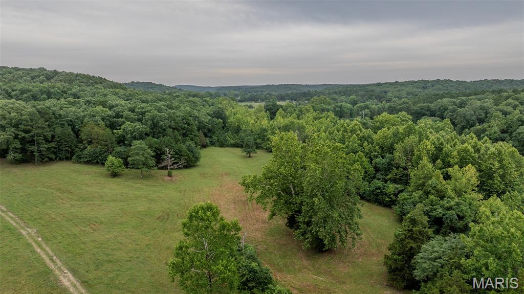 Photo of 11717 Harmon Road Potosi MO 63664