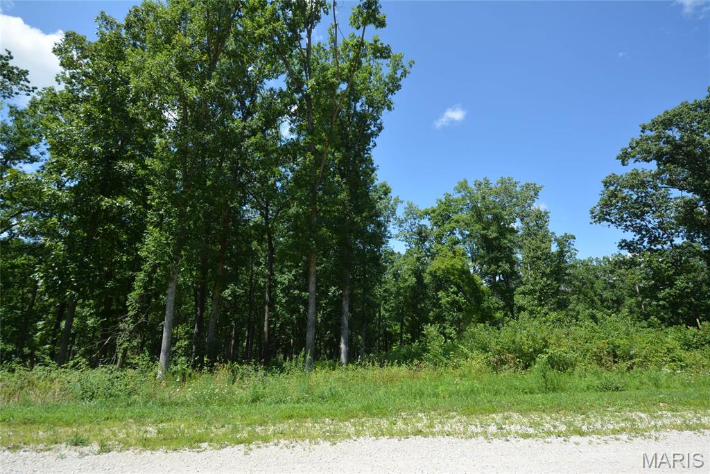 Photo of 123 Lincoln Ridge Lane Troy MO 63379