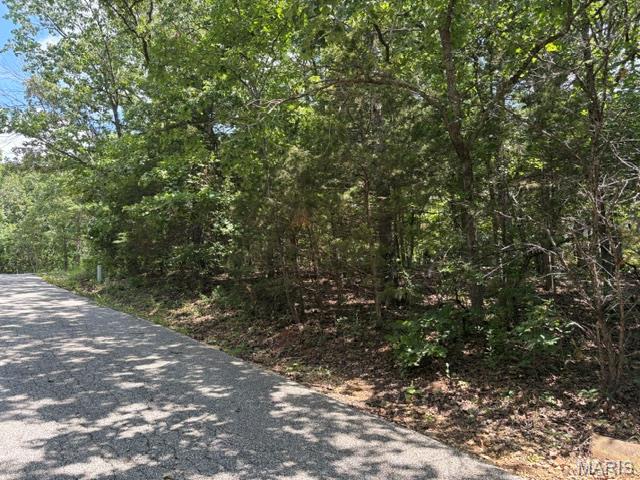 Photo of 61 Sumter Drive Unincorporated MO 63050