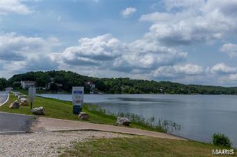 Photo of 10125 Lake Ridge Drive Hillsboro MO 63050