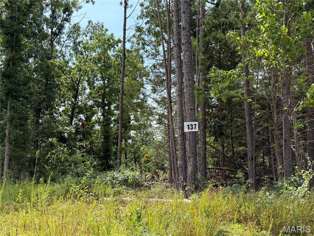 Photo of #137 Madison 410 Fredericktown MO 63645