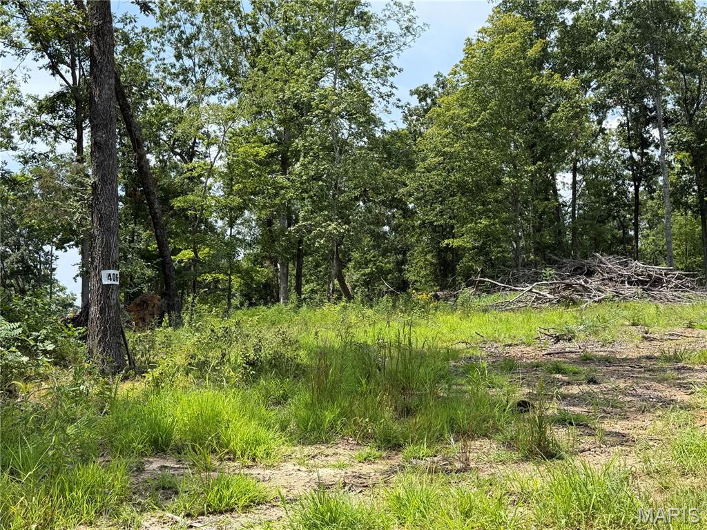 Photo of #406 Madison 410 Fredericktown MO 63645