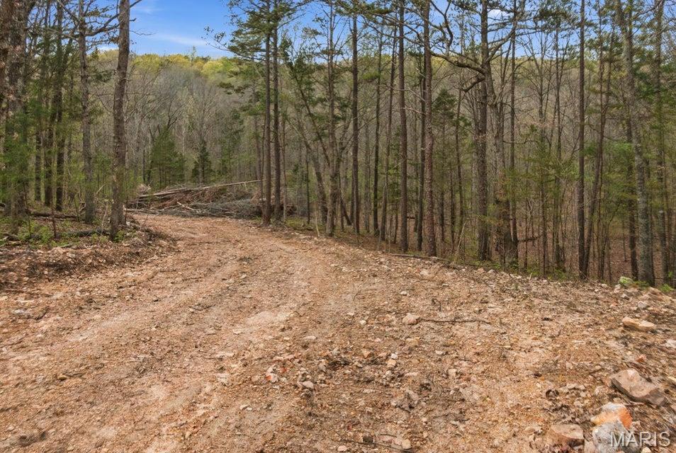 Photo of Tract 5 W Highway 32 Licking MO 65542