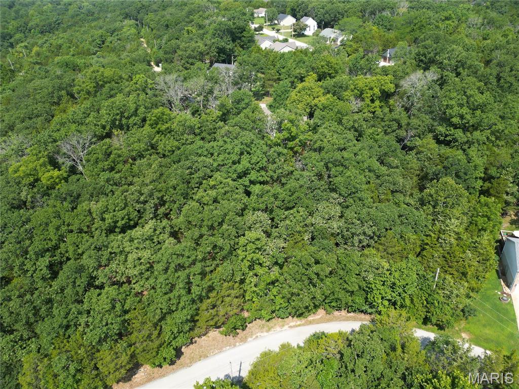 Photo of 10133 Lake Ridge Drive Hillsboro MO 63050