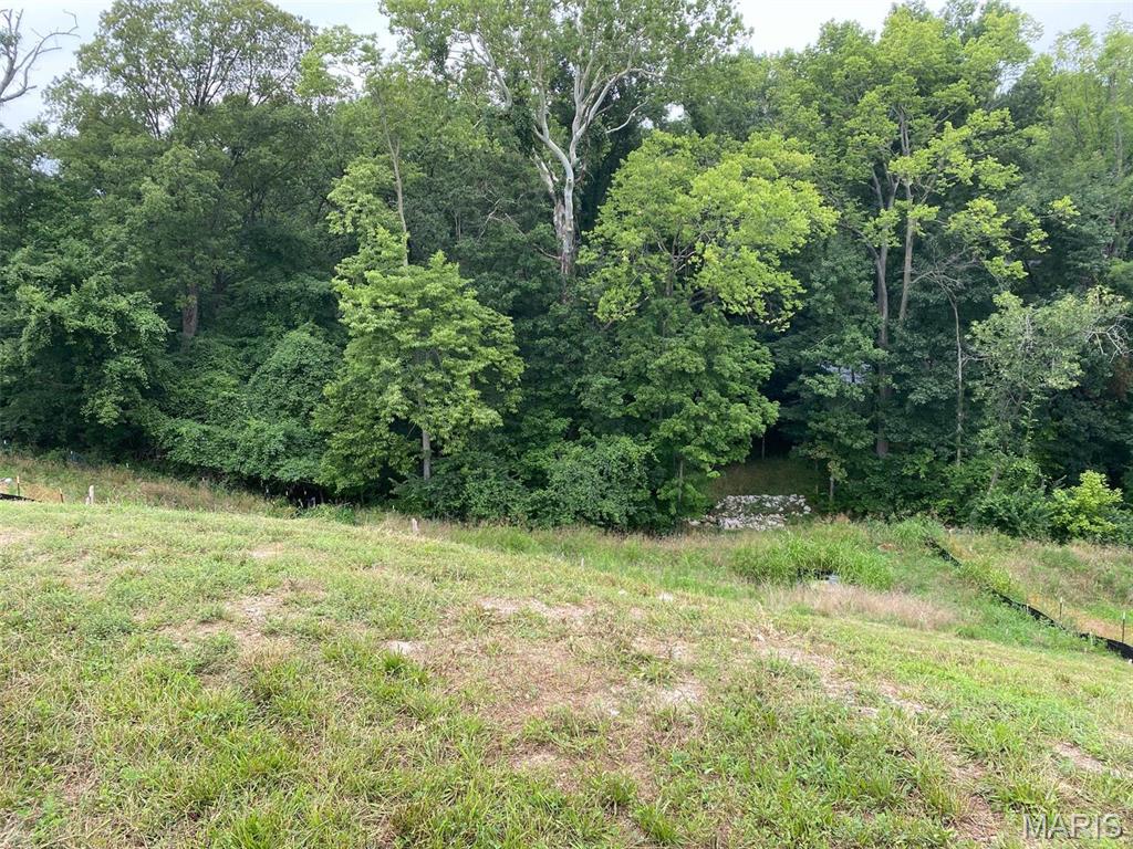 Photo of 2041 Lily Avenue Kirkwood MO 63122